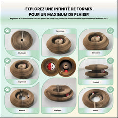 CatCocon - Poste de Grattage Interactif
