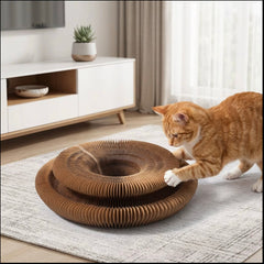 CatCocon - Poste de Grattage Interactif