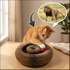 CatCocon - Poste de Grattage Interactif